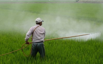 Manejo de herbicidas